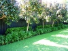 09-106_0690.jpg