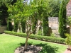 151 Forrest Road
