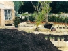 01-scan0001.jpg
