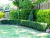 06-102_0261.jpg