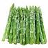 Modern Asparagus has been derived from Asparagus Officinalis