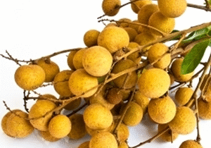 longan