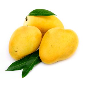 mangoes